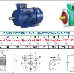 Motor điện 3 pha 15KW 2Poles