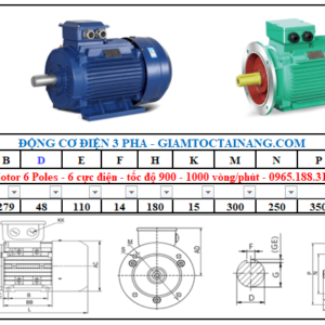 Motor điện 3 pha 15KW 6Poles