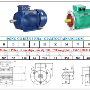 Motor điện 3 pha 15KW 8Poles