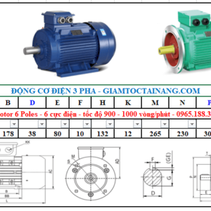 Motor điện 3 pha 5.5KW 6Poles