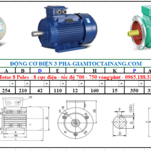 Motor điện 3 pha 5.5KW 8Poles