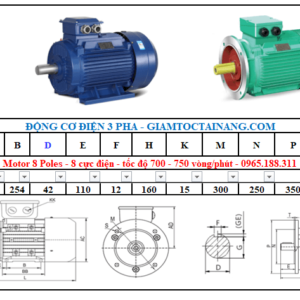 Motor điện 3 pha 7.5KW 8Poles