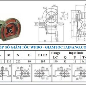 Thông số kỹ thuật hộp số WPDO size 50