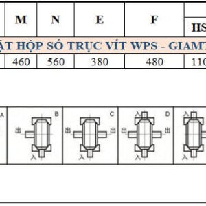 Thông số kỹ thuật hộp số WPS size 250