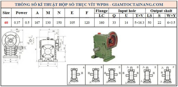 Thông số kỹ thuật hộp số WPDS size 60