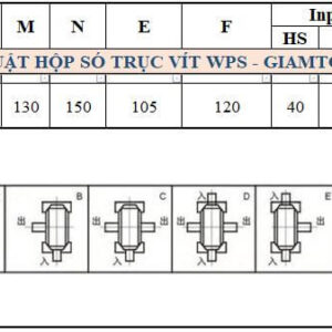 Thông số kỹ thuật hộp số WPS size 60