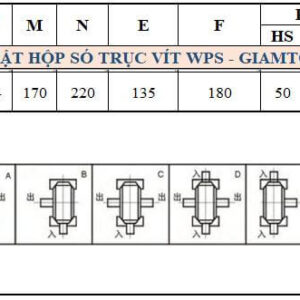 Thông số kỹ thuật hộp số WPS size 80