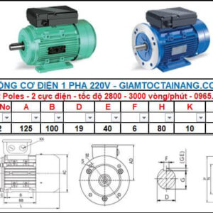 Motor điện 1 pha 0.55KW 0.75HP-2 Poles