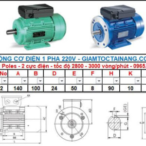 Motor điện 1 pha 0.75KW 1HP-2 Poles