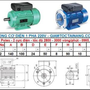 Motor điện 1 pha 1.1KW 1.5HP-2 Poles