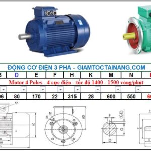 Motor điện 3 pha 110KW 4Poles