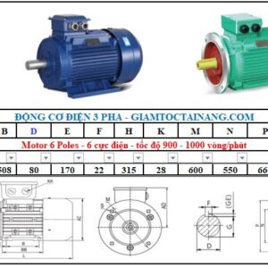 Motor điện 3 pha 110KW 6Poles