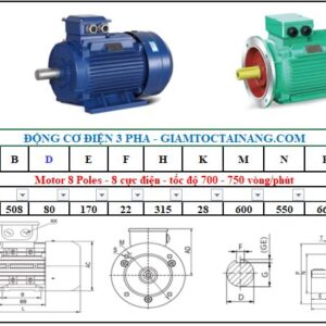 Motor điện 3 pha 110KW 8Poles