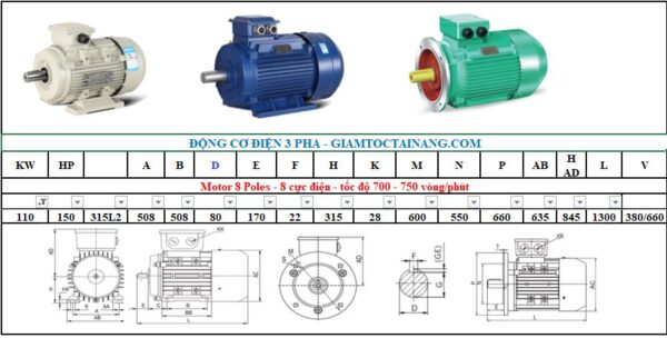 Motor điện 3 pha 110KW 8Poles