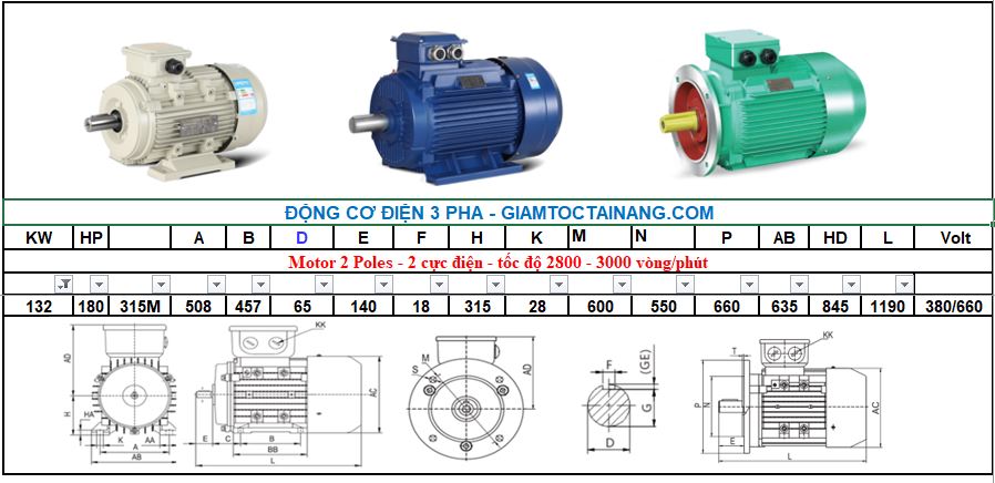 Motor điện 3 pha 132KW 2Poles