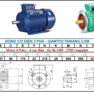 Motor điện 3 pha 132KW 4Poles