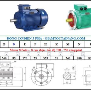 Motor điện 3 pha 160KW 8Poles