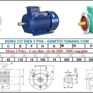 Motor điện 3 pha 18.5KW 2Poles