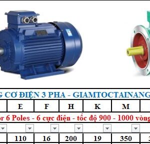 Motor điện 3 pha 18.5KW 6Poles