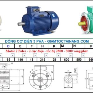 Motor điện 3 pha 200KW 2Poles