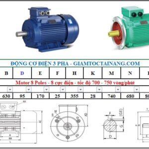 Motor điện 3 pha 200KW 8Poles