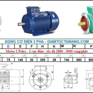 Motor điện 3 pha 250KW 2Poles