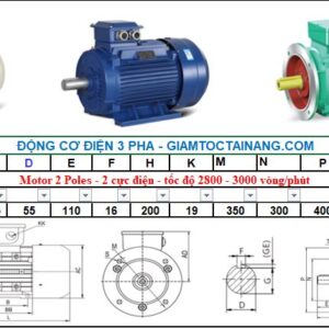 Motor điện 3 pha 30KW 2Poles