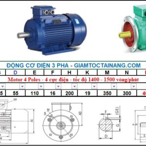 Motor điện 3 pha 30KW 4Poles