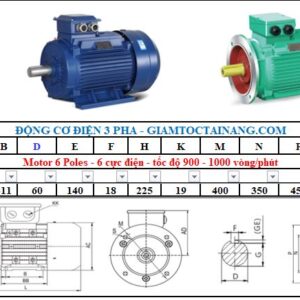 Motor điện 3 pha 30KW 6Poles