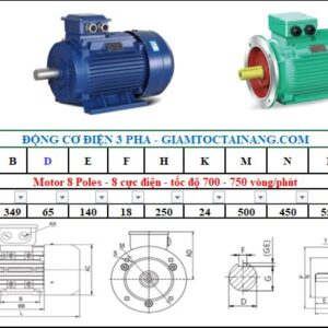 Motor điện 3 pha 30KW 8Poles