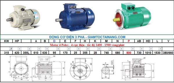 Motor điện 3 pha 315KW 4Poles