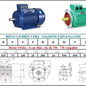 Motor điện 3 pha 45KW 8Poles