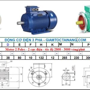 Motor điện 3 pha 5.5KW 2Poles