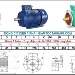 Motor điện 3 pha 55KW 2Poles