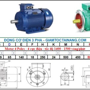 Motor điện 3 pha 55KW 4Poles