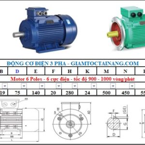 Motor điện 3 pha 55KW 6Poles