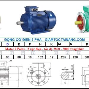 Motor điện 3 pha 7.5KW 2Poles