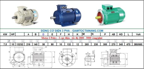 Motor điện 3 pha 7.5KW 2Poles