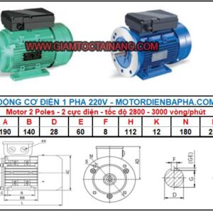 Motor điện 1 pha 3.7KW-2 Poles