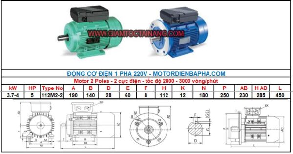 Motor điện 1 pha 3.7KW-2 Poles