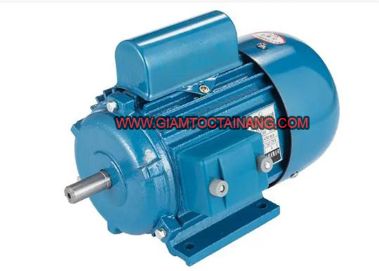 Motor điện 1 pha chân đế-GIAMTOCTAINANG.COM