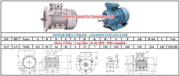 Motor điện 3 pha 0.37KW 4Poles