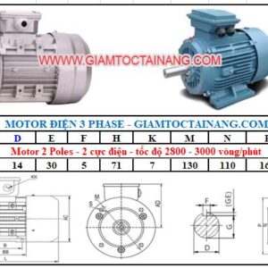 Motor điện 3 pha 0.55KW 2Poles