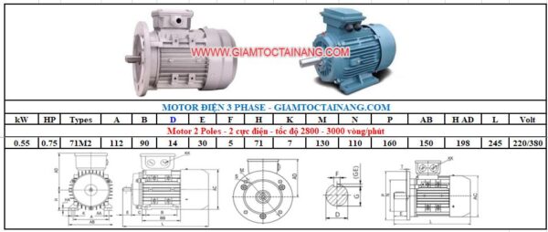 Motor điện 3 pha 0.55KW 2Poles