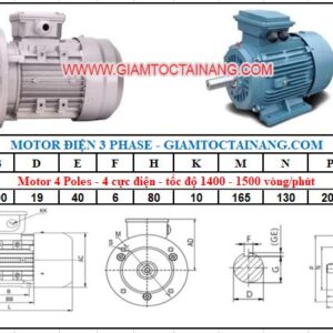 Motor điện 3 pha 0.55KW 4Poles