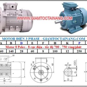 Motor điện 3 pha 0.75KW-8Poles