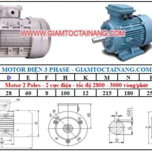 Motor điện 3 pha 3KW-2Poles