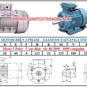 Motor điện 3 pha 4KW 2Poles