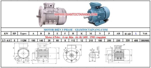 Motor điện 3 pha 4KW 4Poles