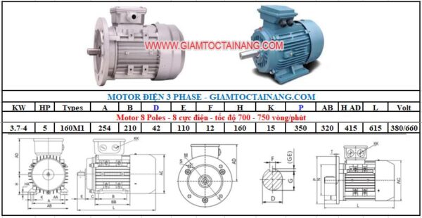 Motor điện 3 pha 4KW 8Poles